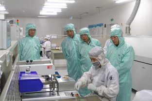 副市长刘恒友走访调研台资企业 深化两岸经贸合作，共探市场发展新机遇